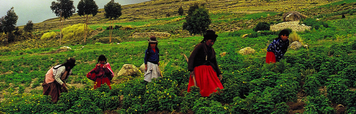Aymara women